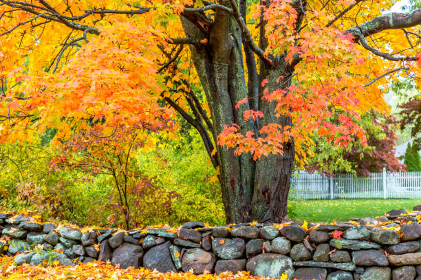 istock New England Suburbs in the Autumn 1035847618