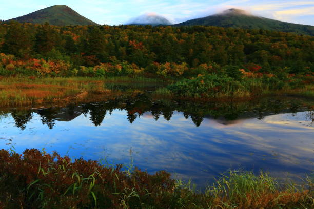 istock Mountains of autumn leaves 1035857424