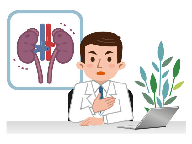 lekarz wyjaśniający chorą nerkę - kidney cancer stock illustrations