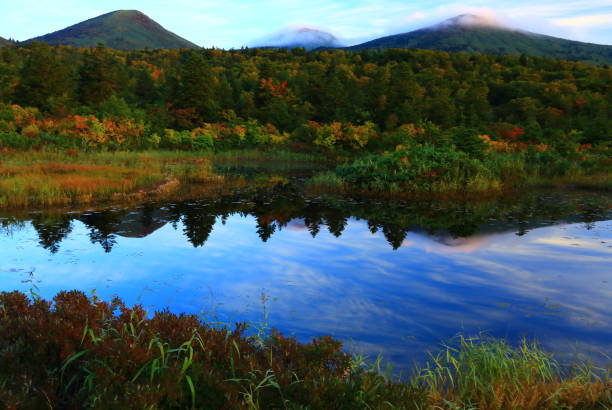 istock Mountains of autumn leaves 1035860180