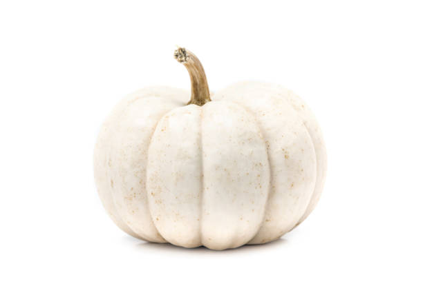 White pumpkin with stem isolated on white background White pumpkin with stem isolated on white background ready for halloween fancy festival decoration miniature pumpkin stock pictures, royalty-free photos & images