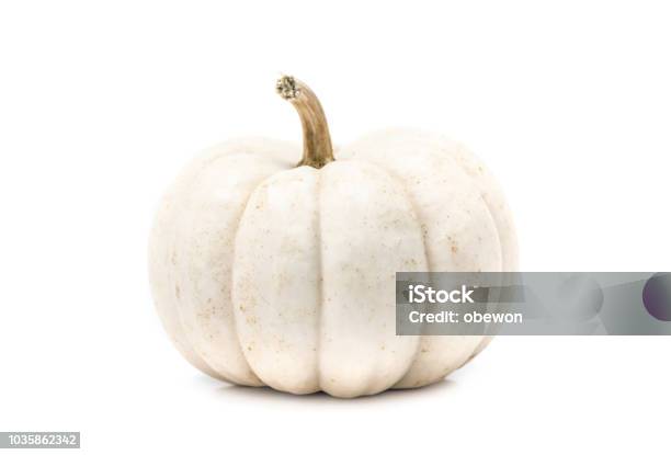 White Pumpkin With Stem Isolated On White Background Stock Photo - Download Image Now