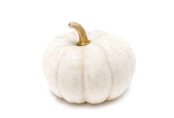 istock White pumpkin with stem isolated on white background 1035862344