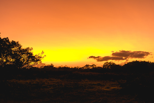 Sunset in Gir National park forest