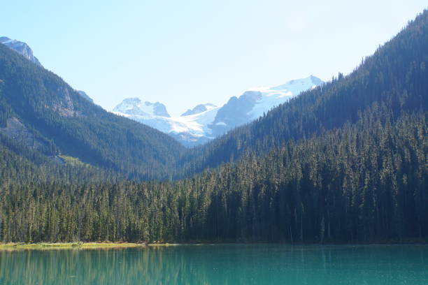 istock Lower Joffre Lake, Canada 1035870290
