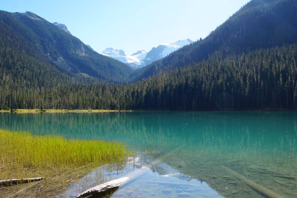 istock Lower Joffre Lake, Canada 1035870302