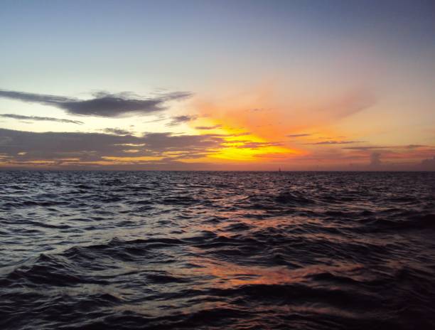 istock Sea sunset, ocean sunset 1035870328