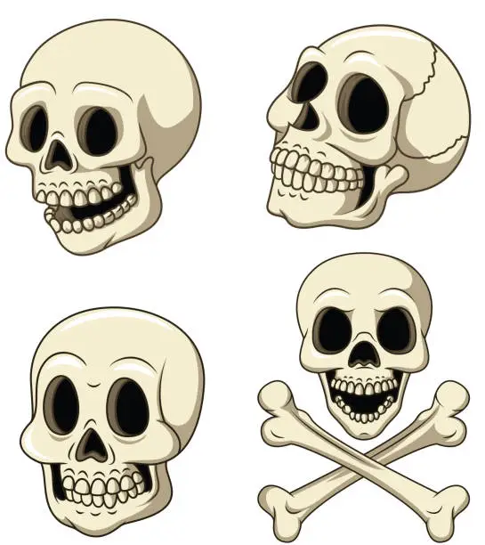 Vector illustration of Human skull collection set isolated on white background