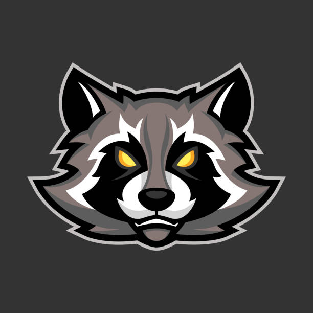 Raccoon Tattoo Designs Cartoons Illustrations, Royalty-Free Vector Graphics & Clip Art - iStock Raccoon Tattoo Designs Cartoons Illustrations, Royalty-Free Vector Graphics & Clip Art - iStock