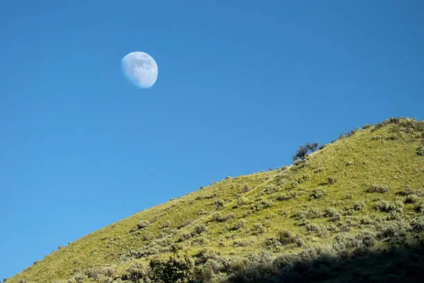 Rolling green hills and day moon