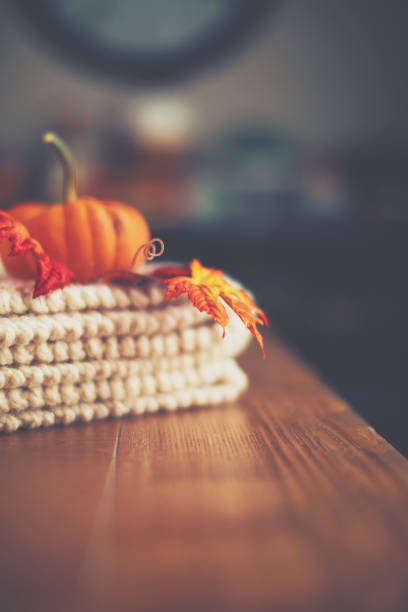 Fall pumpkins for Halloween or Thanksgiving on rustic vibrant colored wood with holiday decorations and copy space.