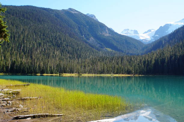 istock Lower Joffre Lake, Canada 1035905660