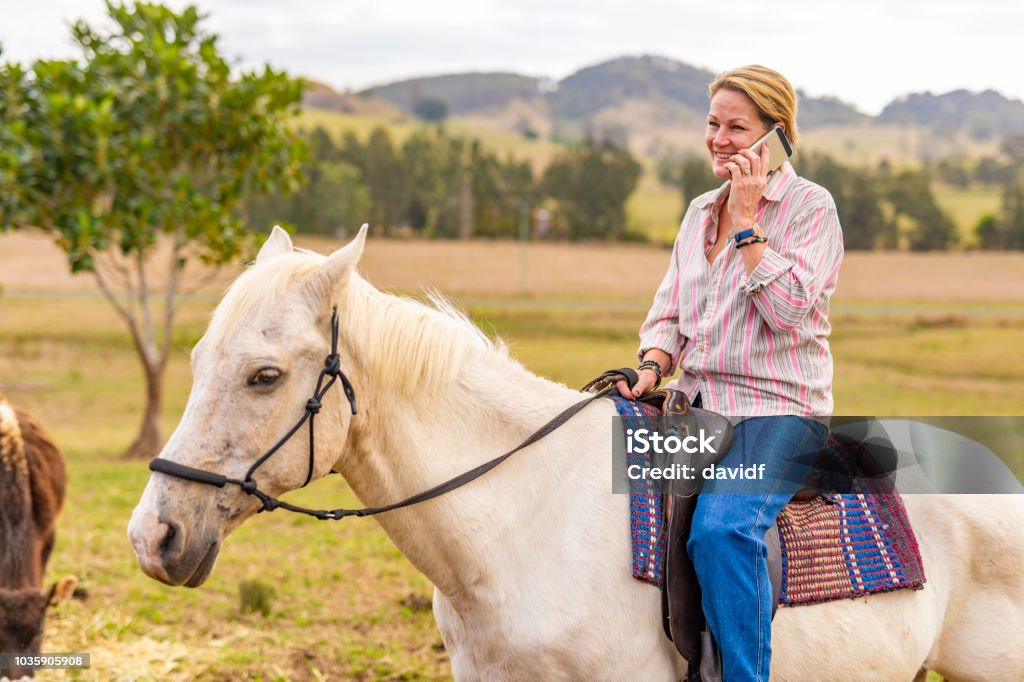 Benutzung eines Mobiltelefons während der Fahrt ein Pferd Woman applying - Lizenzfrei Australien Stock-Foto