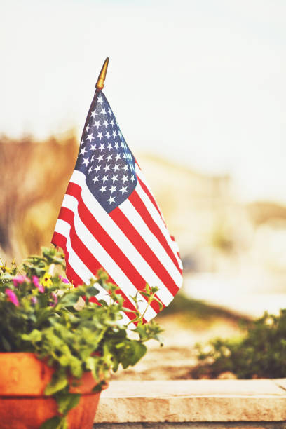 istock American flag in planter with defocused street 1035910812