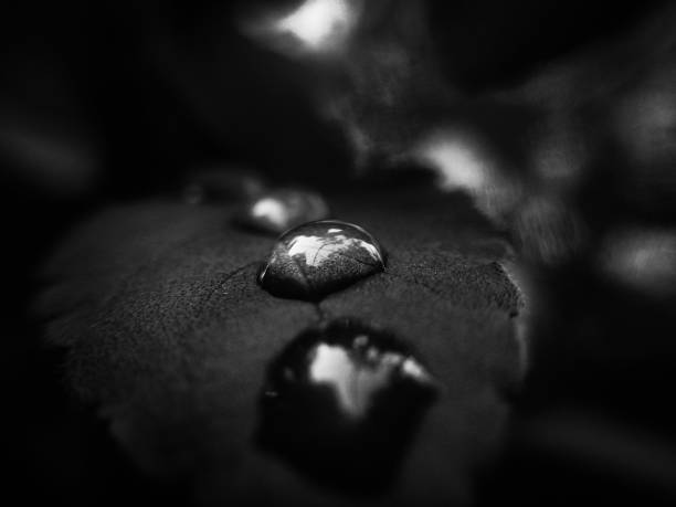 istock Water drop's in black and white 1035927420
