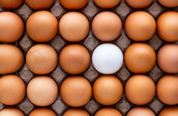 istock Chicken eggs and a duck egg in paper tray. 1035928204