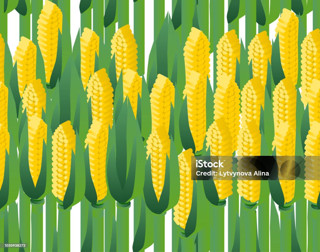 Corn Image Pattern Juicy Fresh Corn On The Field Seamless Pattern Isometric 3d Stock ...