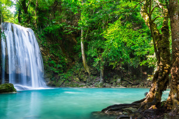 istock Waterfall in the deep forest in National Park, Thailand 1035952764
