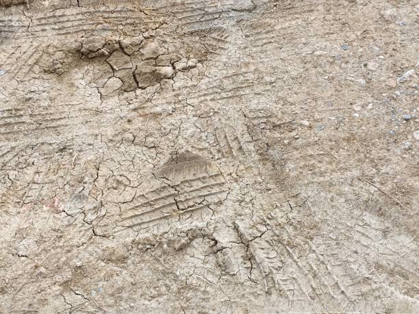 istock dry wheel track on dirt soil texture 1035956942