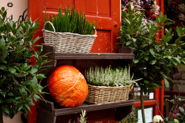 istock Autumn decoration with pumpkins 1035959974