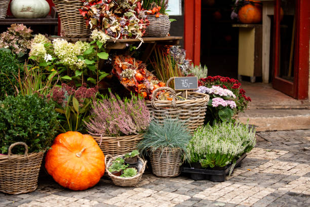 istock Autumn decoration with pumpkins 1035962874