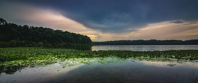 Dramatic sky after a rain storm over the beautiful green lily-pad covered Stone Lake on a summer evening, LaPorte, Indiana