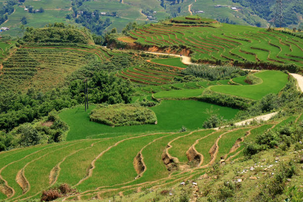 istock Sapa Town Vietnam 1035966812