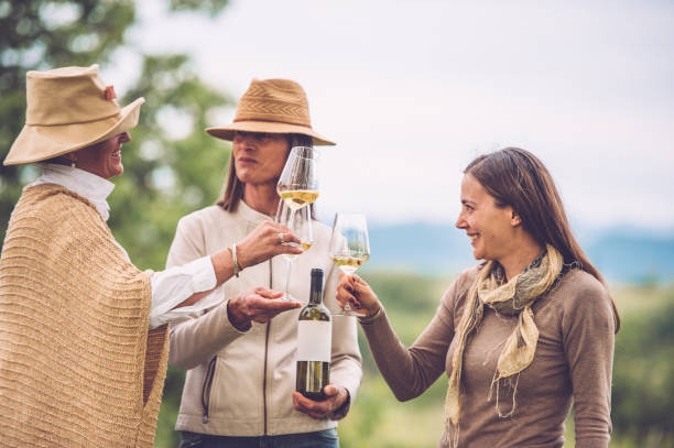 istock Three Friends Making Celebratory Toast 1035966874