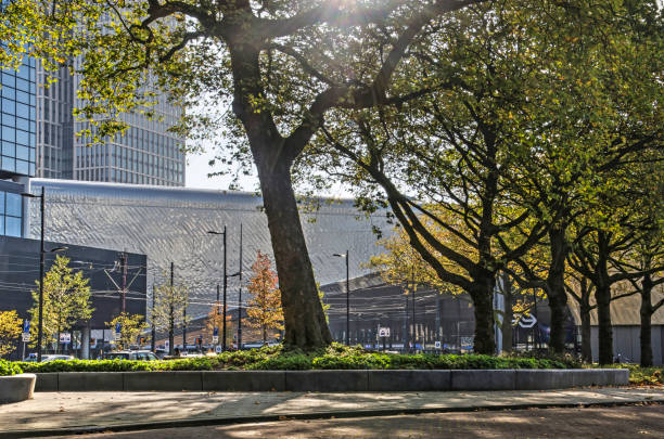 Rotterdam, The Netherlands, October 14, 2017: Plane trees in autumn colors in front of the stainless steel facade at the side entrance of the central station