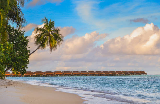 Tropical Beach with Overwater Bungalows