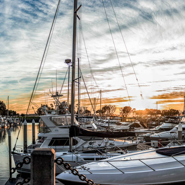 istock White yachts and San Diego harbour at sunset 1035975192