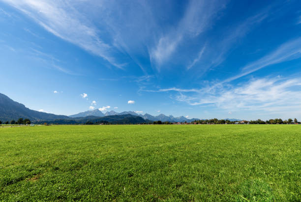 Countryside Landscape with a green meadow and Alps near Schwangau, Fussen, Bavaria, Germany