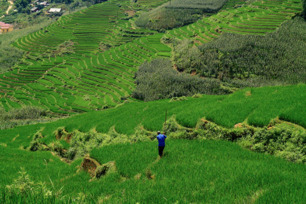 istock Sapa Town Vietnam 1035977370