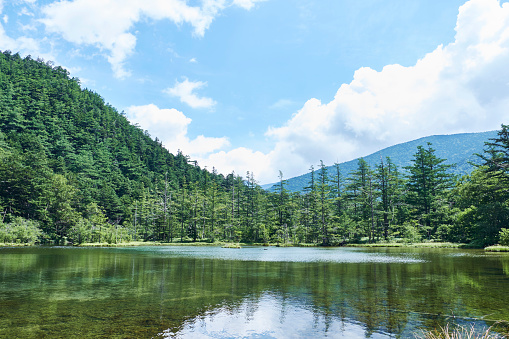 The shore of a crystal clear river