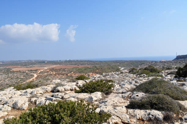 istock Panoramic view from the mountain to the valley with stones and trees 1035985124