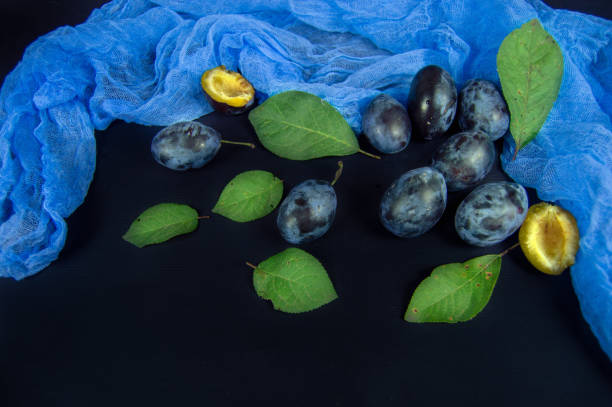 plums and green leaves on a dark background stock photo
