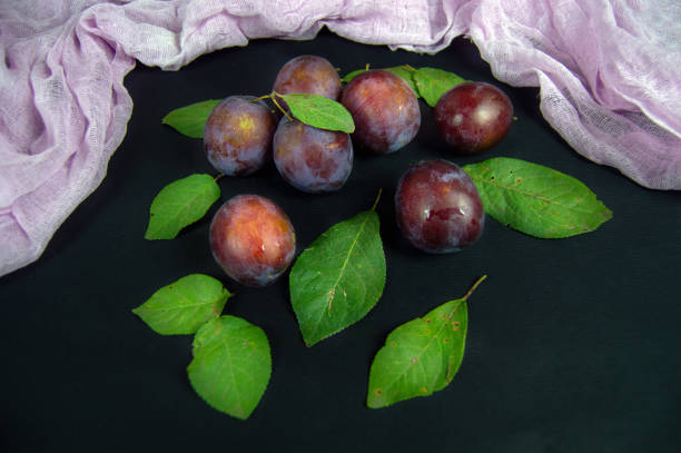 plums and green leaves on a dark background stock photo