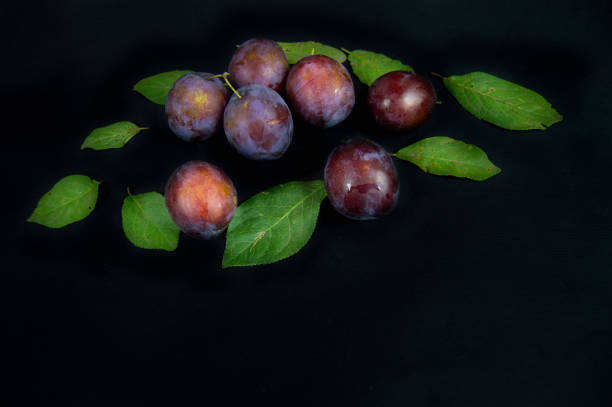 ripe plums and green leaves on a dark background stock photo