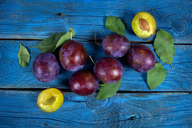 ripe plums on a wooden background of blue color stock photo