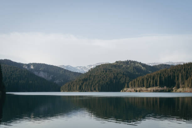 vista lago - forest landscape pine tree snow foto e immagini stock