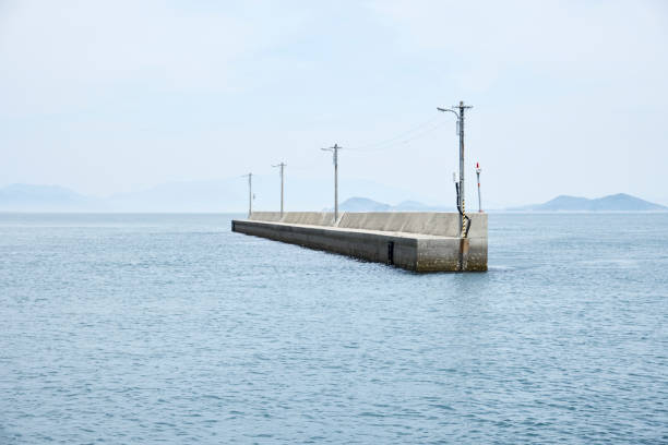 istock Floating levees and telegraph pillars 1035995682