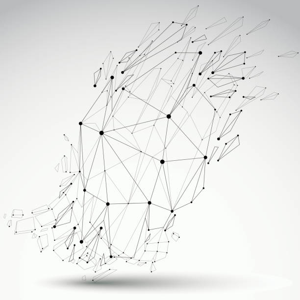 30+ Splinter Netting Stock Photos, Pictures & Royalty-Free Images - iStock
