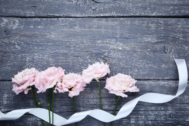 istock Beautiful pink eustoma flowers on grey wooden table 1036016148