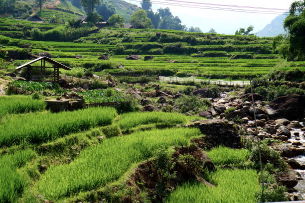 istock Sapa Town Vietnam 1036020486