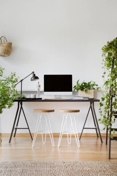 istock Plants in white workspace interior with wooden stools at desk with lamp and desktop computer. Real photo 1036026836