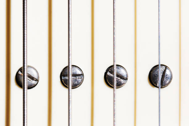 Detail of an electric guitar showing pickup pole pieces