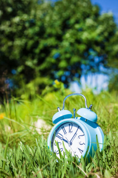 Alarm clock, blue clock on background of green grass