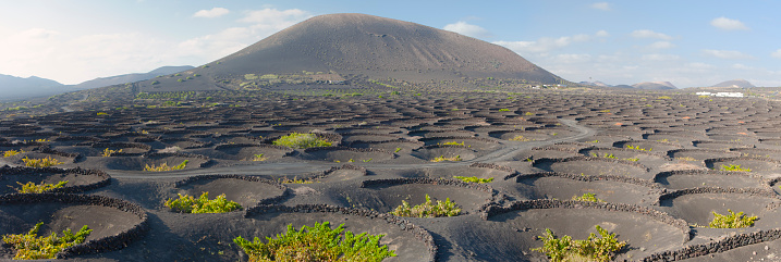 Volcanic  wine valley of La Geria - Lanzarote, Canary Islands, Spain