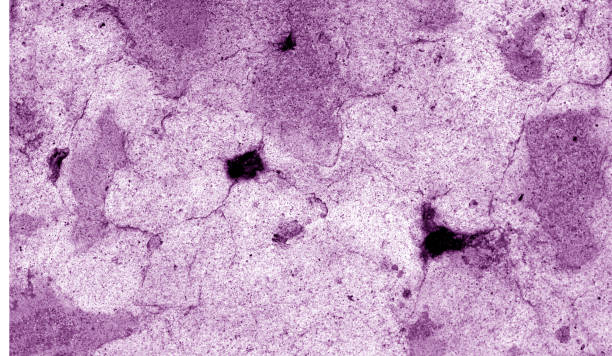 istock craked weathered cement wall texture in purple tone. 1036036622