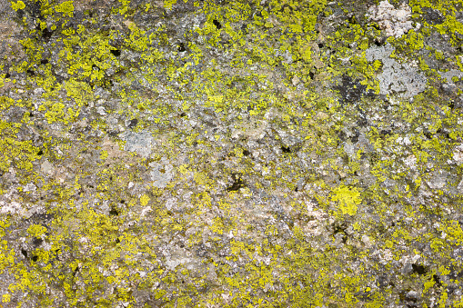 Beautiful relief and texture of stone with patterns and moss. Stone natural background.